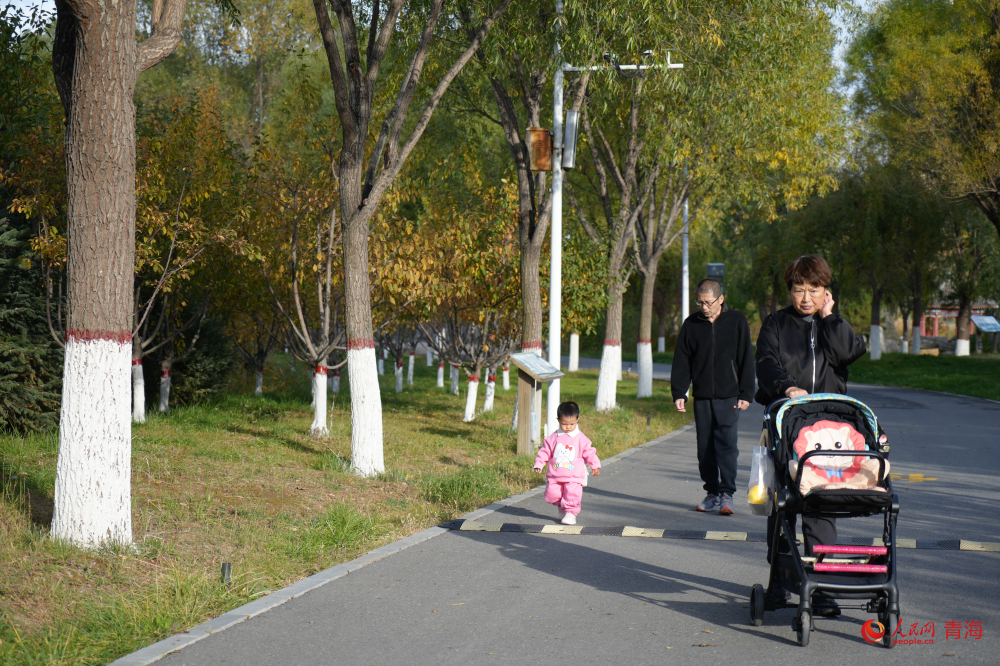 在西寧，享受濕地公園帶來的“詩與遠方”